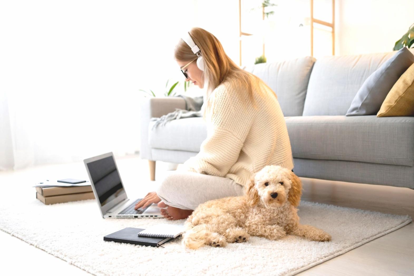 Financial consultation workspace showing client-focused approach